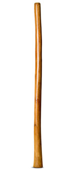 Gloss Finish Didgeridoo (TW921)